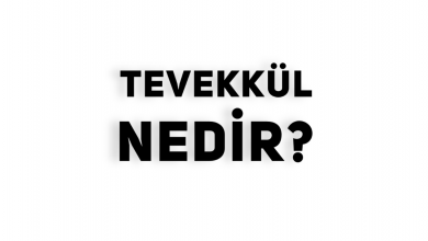 Photo of Tevekkül Nedir?