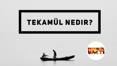 Photo of Tekamül Nedir?