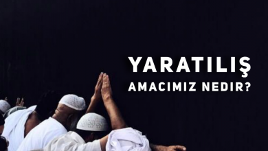 Photo of Yaratılış Amacımız Nedir?